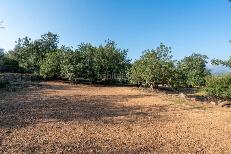 Foto 6958a3bb-b7f4-41b5-b3fe-488b82724d9a. Fondo rustico in camí rural municipal 348 in Ulldecona