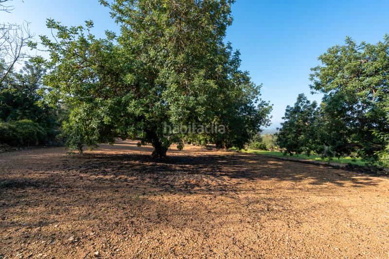 Foto 6b4fd5ff-2efb-4c4c-99ef-4067cd90c0e4. Fondo rustico in camí rural municipal 348 in Ulldecona