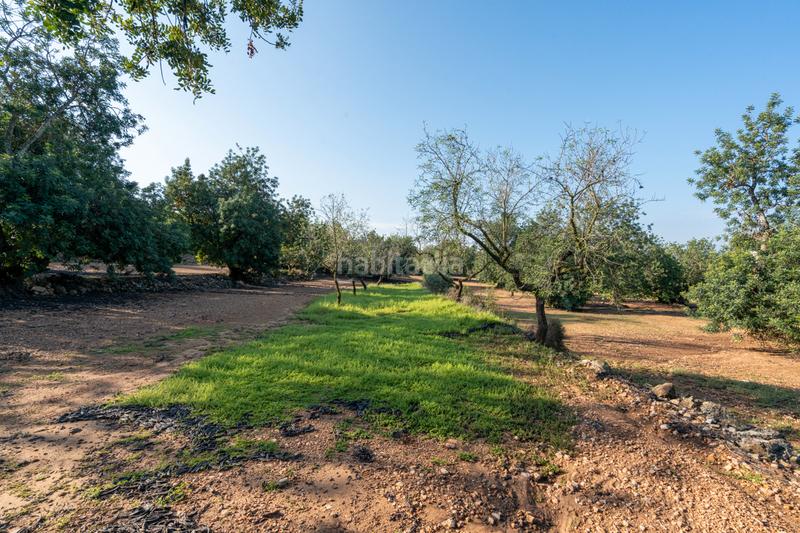 Foto 81f9a67e-de3a-4535-ad09-9b40b18756d3. Fondo rustico in camí rural municipal 348 in Ulldecona