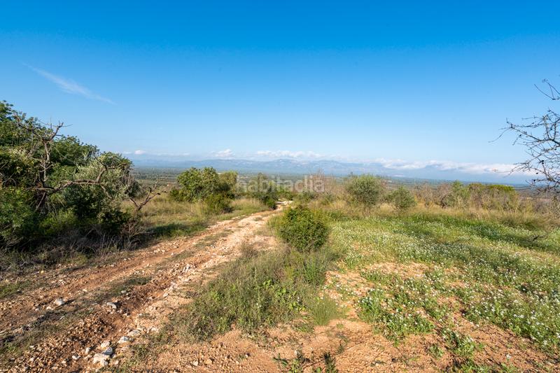 Foto af5d6664-8ec6-4d51-82f4-1848b82c29e4. Fondo rustico in camí rural municipal 348 in Ulldecona