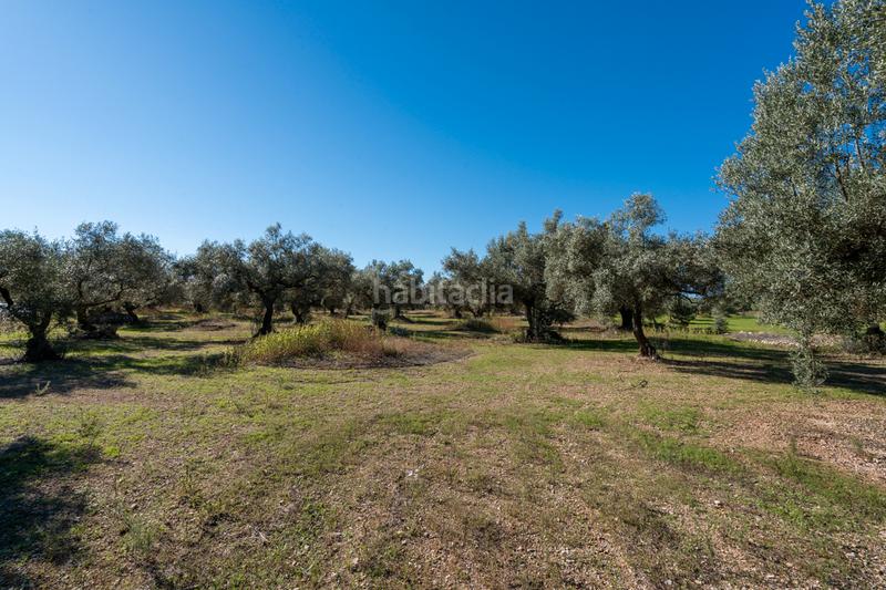 Foto 205b6066-f2f2-4994-bcb1-f89d4ce4ae07. Landgut in carrer del barranc 10 in Galera (La)