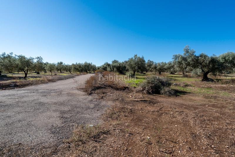 Foto 450cba26-1acf-4c6e-ad81-98bd55edd278. Landgut in carrer del barranc 10 in Galera (La)