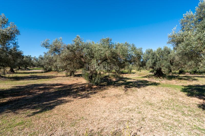 Foto 4daea43e-6d83-45af-90bb-fea2e74a8971. Landgut in carrer del barranc 10 in Galera (La)