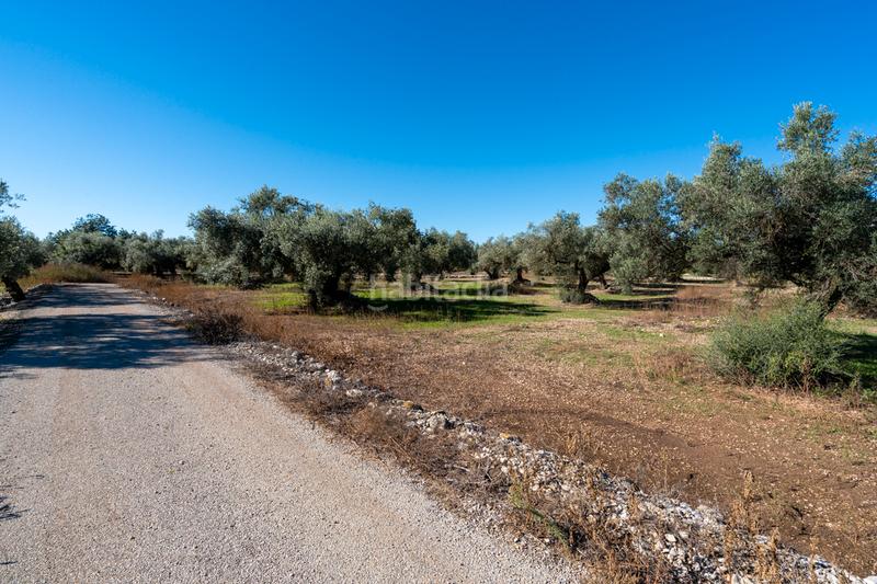 Foto 59728d30-9549-4062-9972-4687170635f2. Landgut in carrer del barranc 10 in Galera (La)