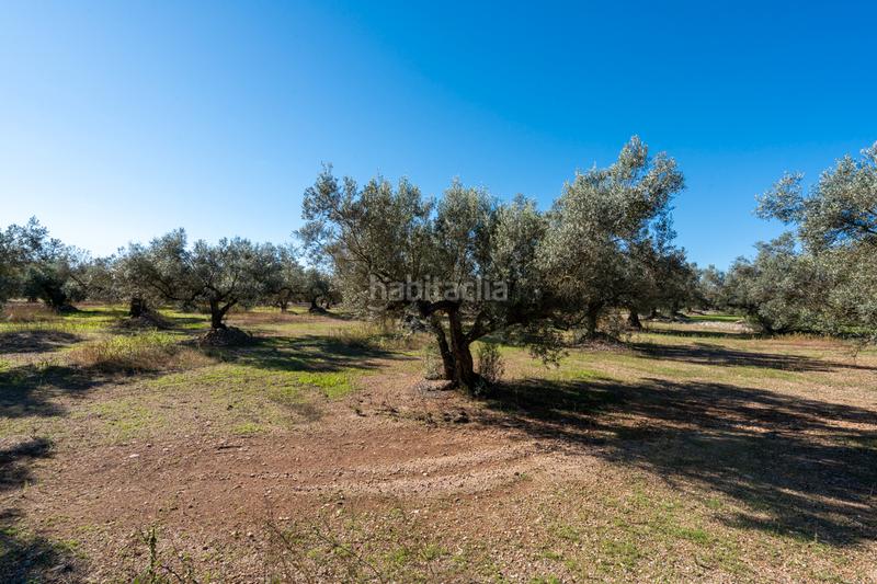 Foto 959ceee5-6bf4-4ac5-948d-e377738cded0. Landgut in carrer del barranc 10 in Galera (La)