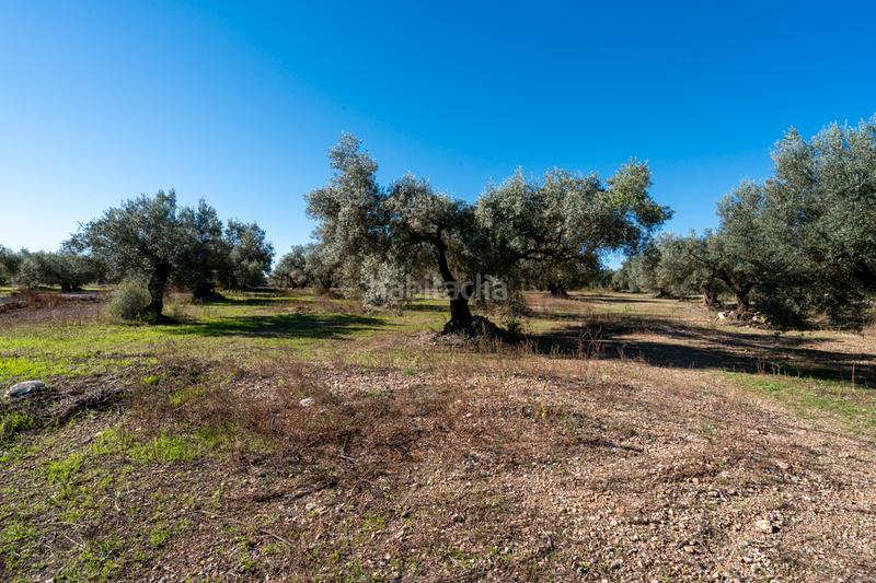 Foto fd35b3ae-32d2-43e6-a8d1-bd48c79e2379. Landgut in carrer del barranc 10 in Galera (La)