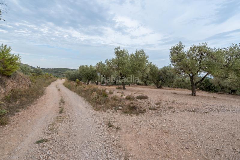 Foto 260738b1-024f-4c5a-9866-5d5237b53f60. Finca rústica a carrer major 22 a Mas de Barberans