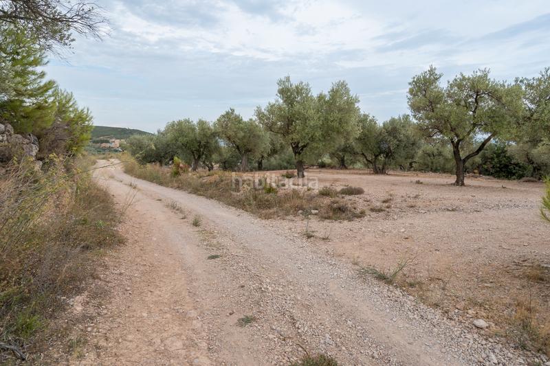 Foto 2dc3b73d-f168-45d9-b0e0-48a14ff0f6aa. Finca rústica a carrer major 22 a Mas de Barberans