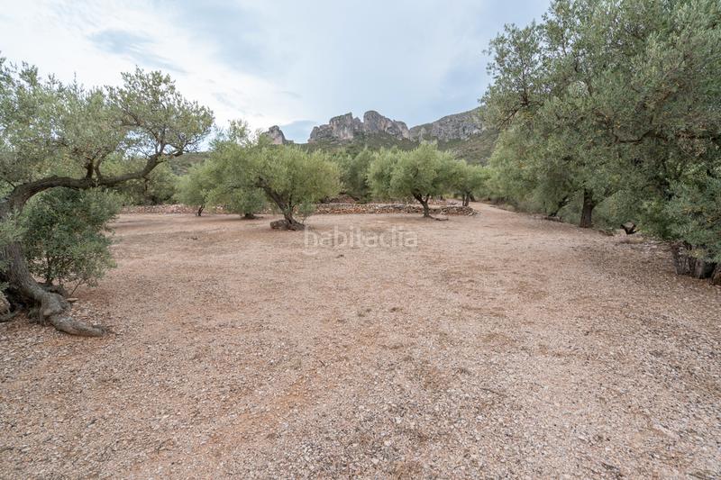 Foto 42c00639-9364-4623-a4e3-afaf02aa7569. Finca rústica a carrer major 22 a Mas de Barberans