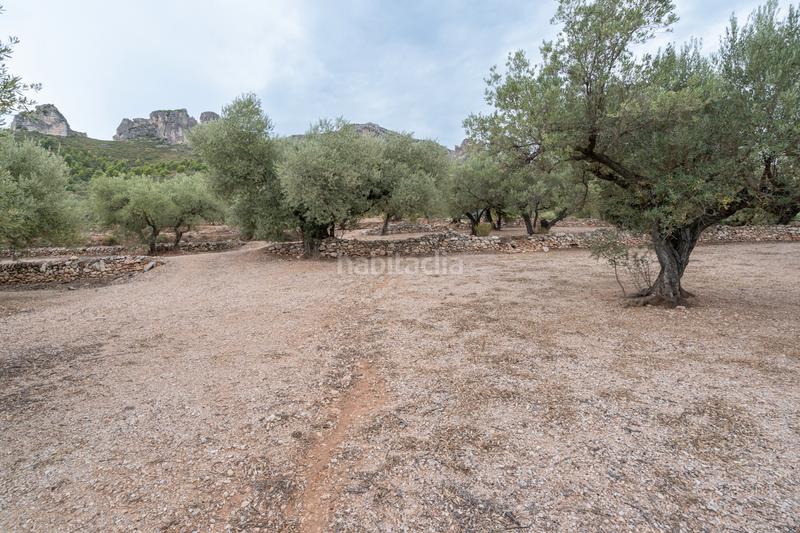 Foto 4a6f65d1-fffc-43a0-860f-85bc9c37f7a0. Finca rústica a carrer major 22 a Mas de Barberans