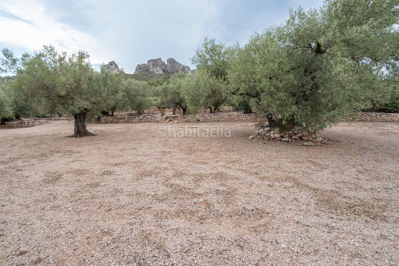 Foto e4119458-3180-4006-829b-be93391fd96e. Finca rústica a carrer major 22 a Mas de Barberans