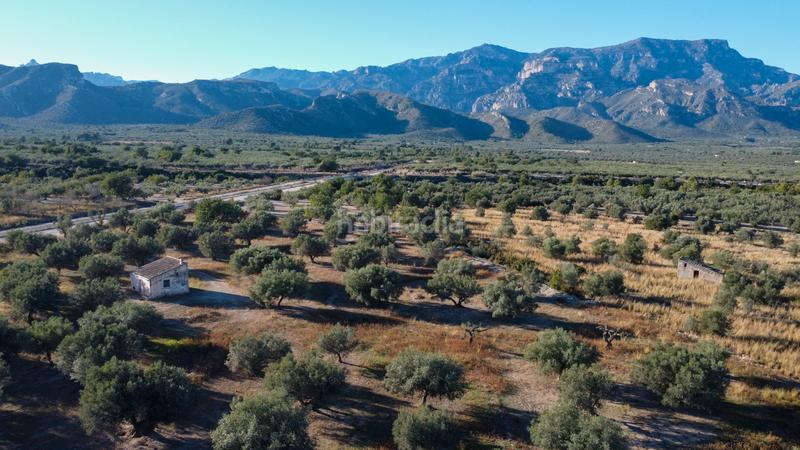 Foto 0855597c-9909-4e8c-aa27-4cb79589358f. Propriété dans n/a dans Roquetes