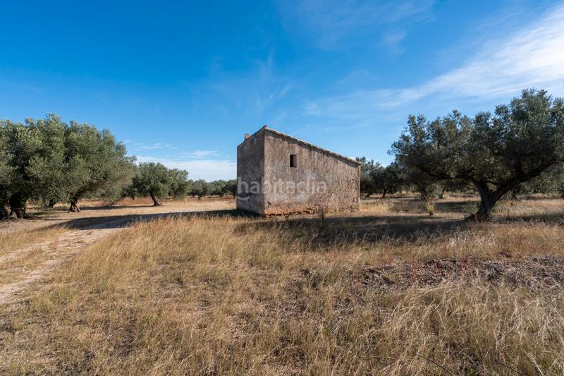 Foto 165c6344-a696-4491-aa70-88cff7aa9198. Propriété dans n/a dans Roquetes