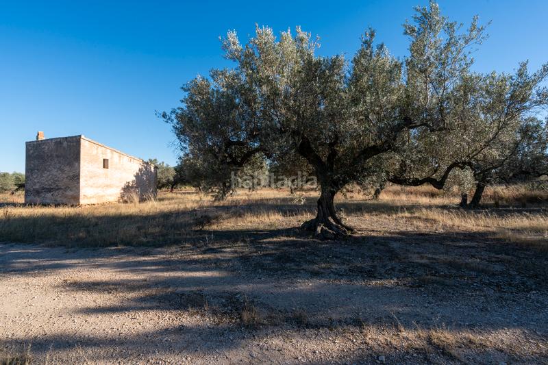 Foto 28104ef7-d0fa-454b-85f2-c671a9089426. Propriété dans n/a dans Roquetes