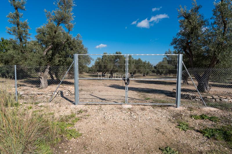 Foto 8170aa81-1e99-4264-8908-736bc4961bff. Propriété dans n/a dans Roquetes