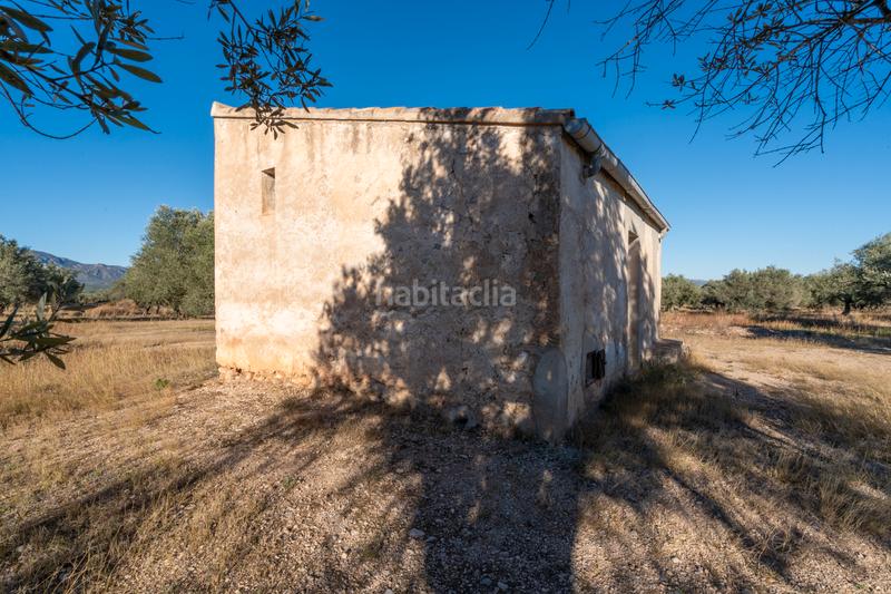 Foto a9aaed1e-b13b-426a-9675-b2b5ba194ebf. Propriété dans n/a dans Roquetes