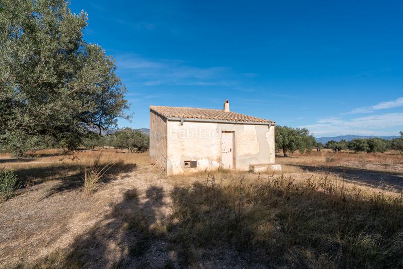 Foto bbfa7204-e1bc-4b21-aa35-1b2ef16ca1d8. Propriété dans n/a dans Roquetes