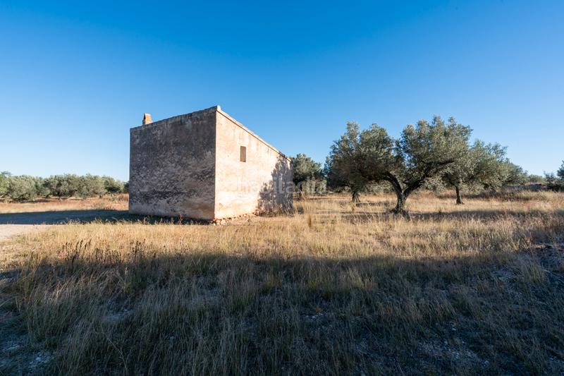 Foto c27389f6-844e-4e3e-a44e-95dbb72f8143. Propriété dans n/a dans Roquetes