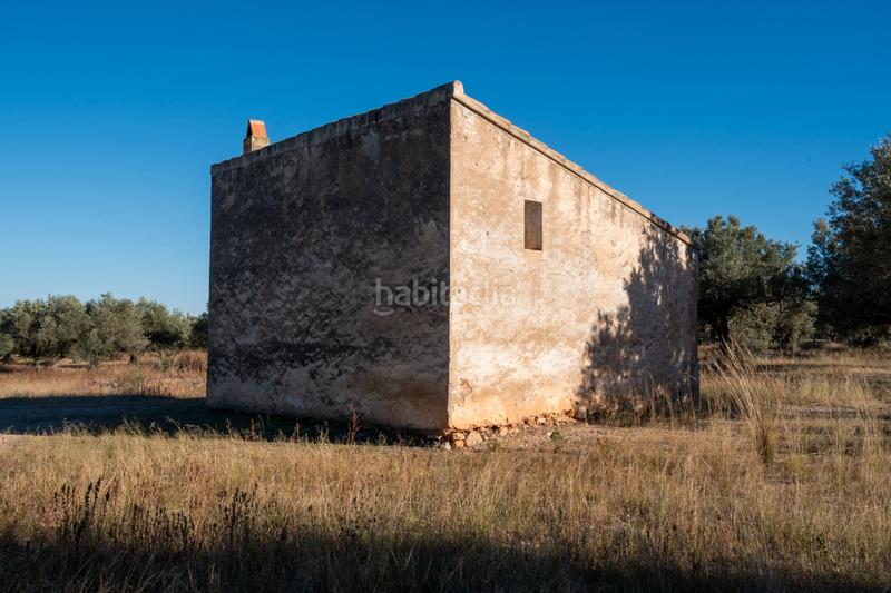 Foto ce40698c-b264-4497-8b24-d9ea6537f185. Propriété dans n/a dans Roquetes