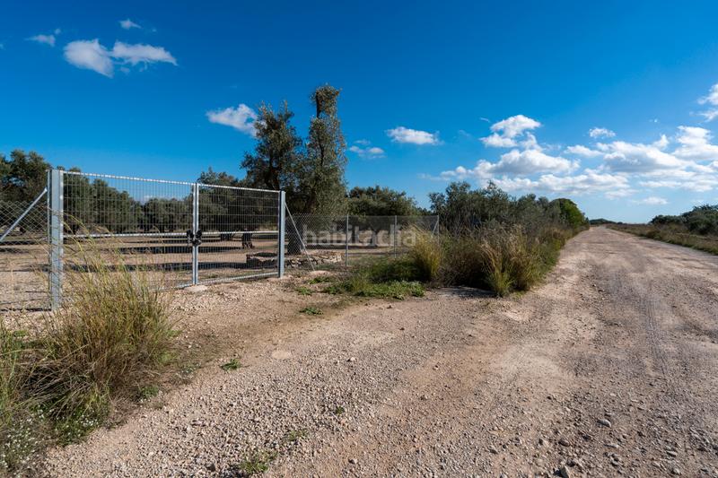 Foto d189fe4e-765a-41a7-aead-0f962ec4c837. Propriété dans n/a dans Roquetes