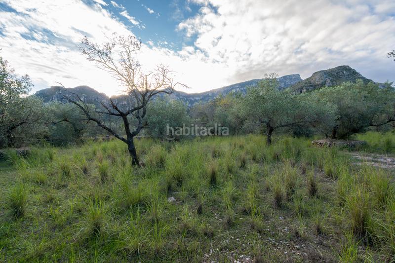 Foto 2a9c11c4-1b07-4273-a6fe-c0b4c014b676. Finca rústica a partida pandorga 2 a Roquetes