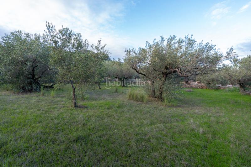 Foto 47e00ae4-c01b-4d0c-89fc-dba57f8423d3. Finca rústica a partida pandorga 2 a Roquetes