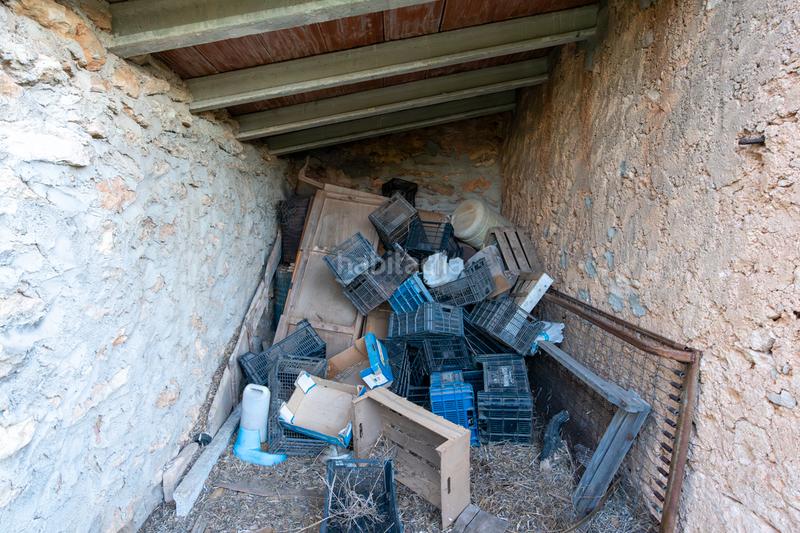 Foto 4d2dc92a-6f4d-4a0d-b45e-b834d4472cbc. Finca rústica a partida pandorga 2 a Roquetes