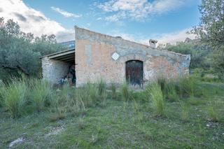 Finca rústica a Partida pandorga 2. Finca de olivos con casita de campo con el tejado nuevo