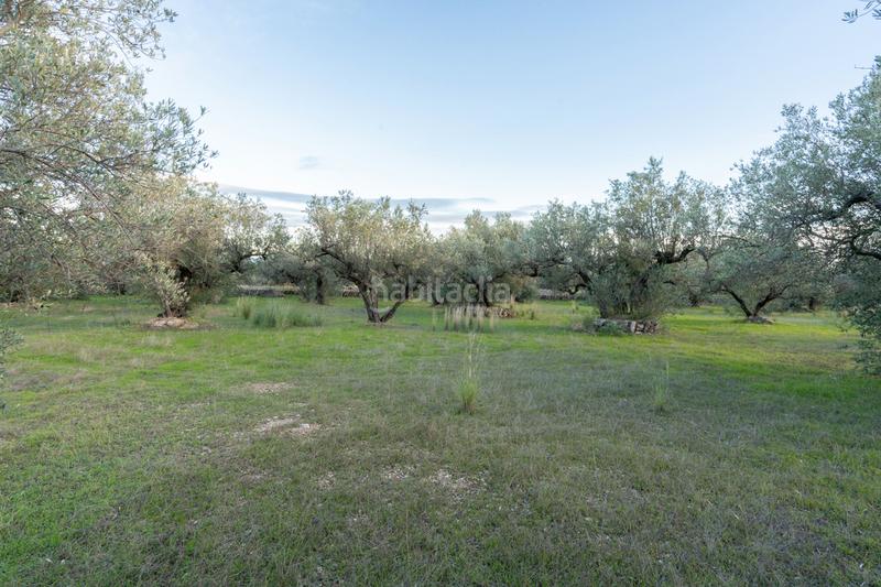 Foto 9d6c5751-c2ee-4067-a6aa-6018562e8fd1. Finca rústica a partida pandorga 2 a Roquetes