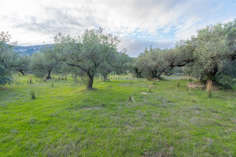 Foto b8d23152-cb1d-4e3f-927c-3200d746fd8e. Finca rústica a partida pandorga 2 a Roquetes