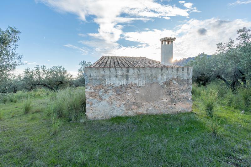 Foto ee049270-2f9f-4b01-bd17-23e50d089df9. Finca rústica a partida pandorga 2 a Roquetes