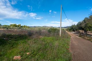 Finca rústica a N/a. Finca rústica con acceso desde la carretera