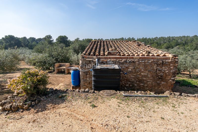 Foto 9efa6edb-4bd4-4e1c-abb8-e8a067bd15e2. Finca rústica a camí del filato 1093 a Camarles
