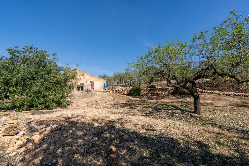 Foto b8a3f9f8-a39e-474e-9eca-225a51bb4996. Finca rústica a camí del filato 1093 a Camarles