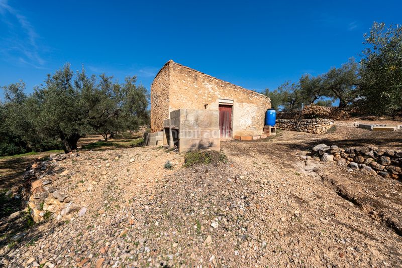 Foto c8c39016-a082-4274-9706-589bcec4ac76. Finca rústica a camí del filato 1093 a Camarles