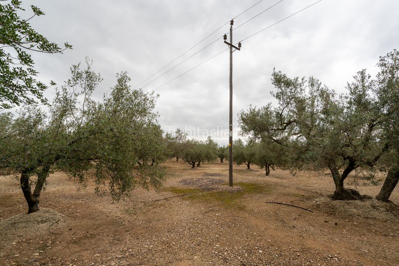 Foto 2e0949a8-deef-4e7e-a99c-76101388747b. Finca rústica a camí de les codines 63 a Jesús - Els Reguers Tortosa