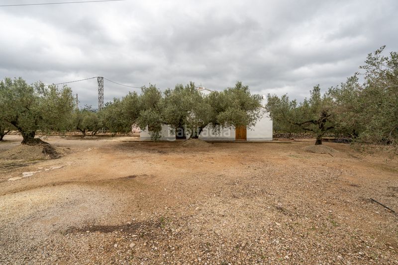 Foto 4e648125-d79a-4873-a815-b5e17a778a96. Finca rústica a camí de les codines 63 a Jesús - Els Reguers Tortosa