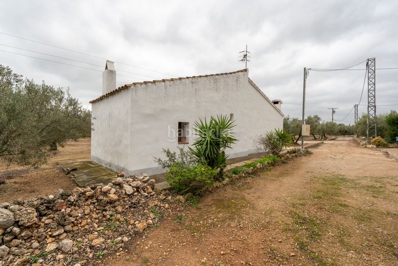 Foto 5b03fe88-7f74-4b36-8df2-db7cfef271c8. Finca rústica a camí de les codines 63 a Jesús - Els Reguers Tortosa