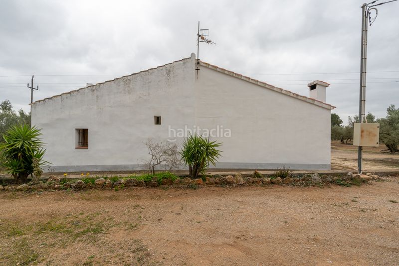 Foto 6a25ef26-9f31-469d-9713-e6ac9a846e6f. Finca rústica a camí de les codines 63 a Jesús - Els Reguers Tortosa