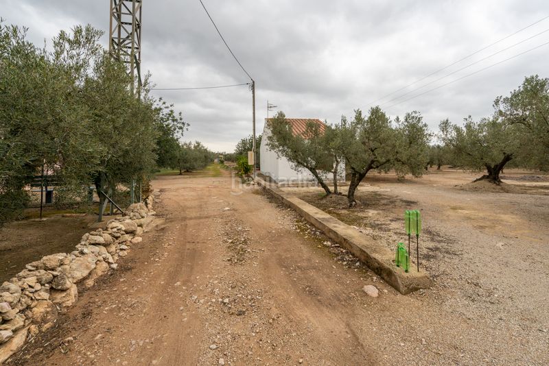 Foto c9444454-3444-44ea-b398-635f4c881909. Finca rústica a camí de les codines 63 a Jesús - Els Reguers Tortosa