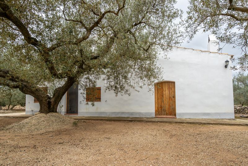 Foto d218b998-6382-42c7-92d4-e1f212103840. Finca rústica a camí de les codines 63 a Jesús - Els Reguers Tortosa