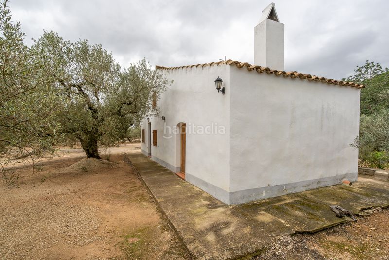 Foto d8224dc5-d7b7-4c59-aa0e-14a0d8ea1c92. Finca rústica a camí de les codines 63 a Jesús - Els Reguers Tortosa