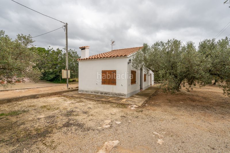 Foto f22a9d53-a24e-4c47-88af-217ea4265a26. Finca rústica a camí de les codines 63 a Jesús - Els Reguers Tortosa