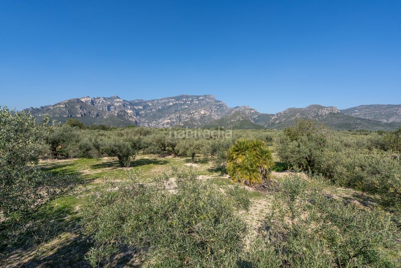Foto abdb8cf6-87f8-448e-9563-6d418962cb8c. Finca rústica a Roquetes