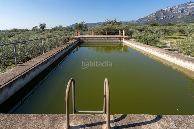 Foto bdca431c-8613-4d9d-8680-211a191a74c4. Finca rústica a Roquetes