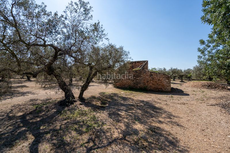 Foto 4f241842-44b4-40f1-9ae2-94123a8de257. Finca rústica a camí colomar 14 a Roquetes