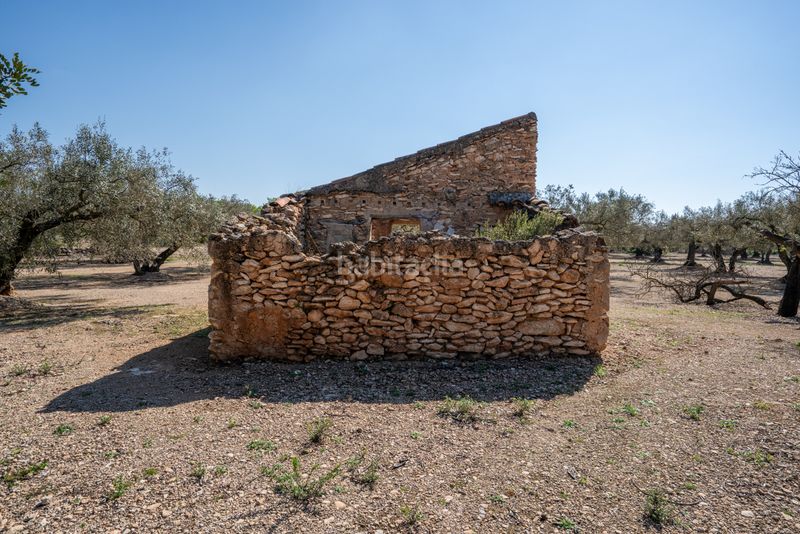 Foto 6d43abdd-b0e4-4250-87ce-deee7a446290. Finca rústica a camí colomar 14 a Roquetes