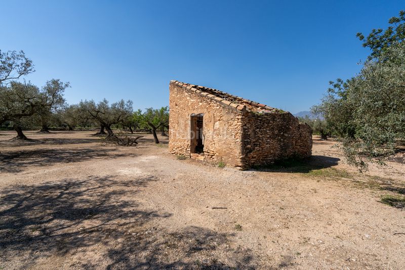 Foto 9ef9be88-5fd0-48eb-9de6-ad768600f601. Finca rústica a camí colomar 14 a Roquetes