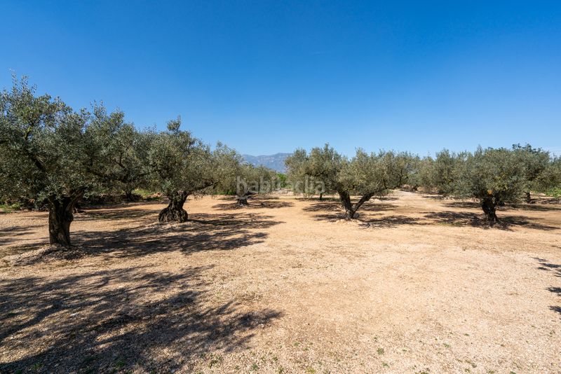 Foto b69966a6-e2bf-4d10-ba1f-a2e52ac1cc4b. Finca rústica a camí colomar 14 a Roquetes