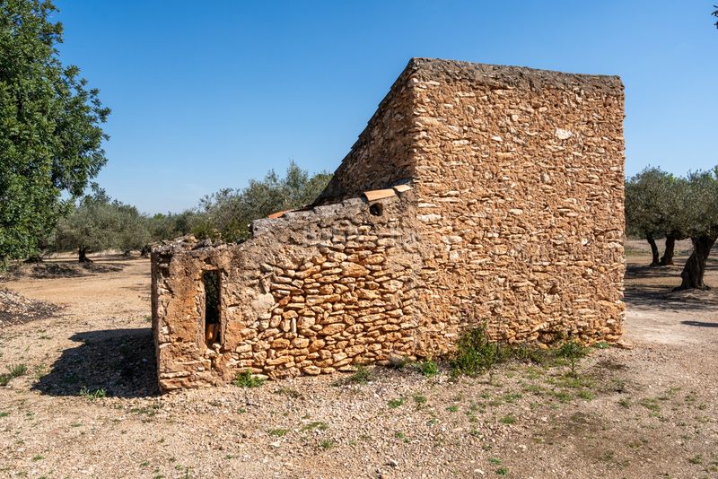 Foto deebe57c-9321-4bb8-b137-6348a27da3df. Finca rústica a camí colomar 14 a Roquetes